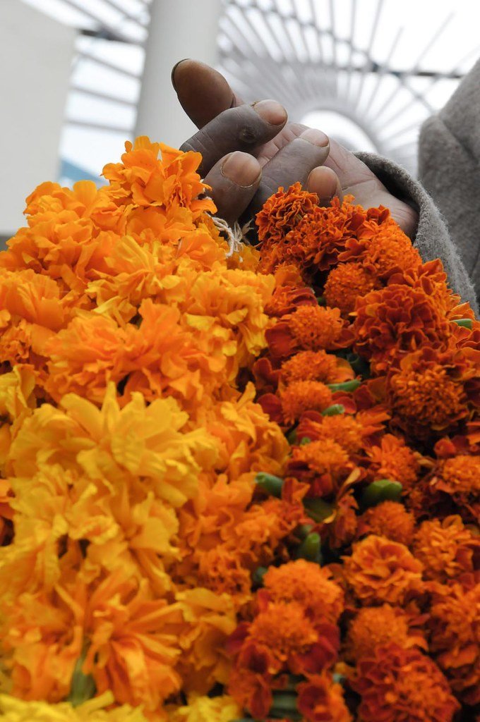 Artificial Marigold Flower Garlands, Orange and Yellow, 4.5 Feet Length, Set of 5 (Yellow)